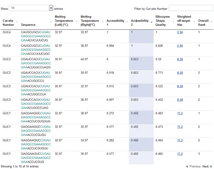 Figure 5. Sample output from RiboSoft. The cut-site number (starting at 0 for the first cut-site) and corresponding ribozyme sequence is shown for each candidate