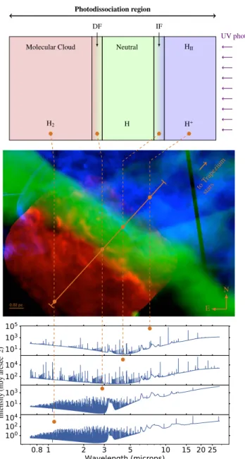 Figure 1. PDR. Top: PDR synthetic morphology with, from right to left, ionized or H II region (H II ), ionization front (IF), the neutral region,