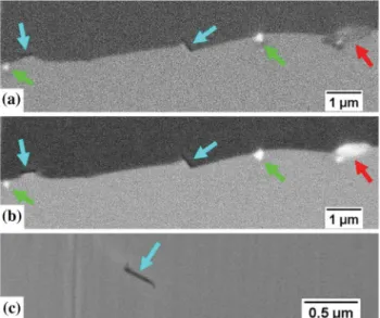 Fig.  13—Quantity  of  intergranular  precipitates  as  a  function  of  the  reheating   time  at  1050  °C