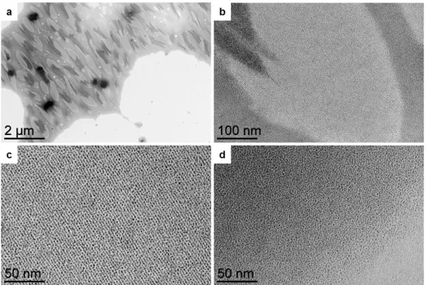 Fig. S2 Hybrid self-assembly made of Pt nanoparticles (NPs) and FeL 3  coordination polymers