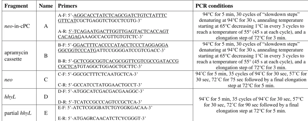 Table S3. List of oligonucleotides utilised and their associated PCR conditions. The oligonucleotides utilised for PCR-targeted gene  22 
