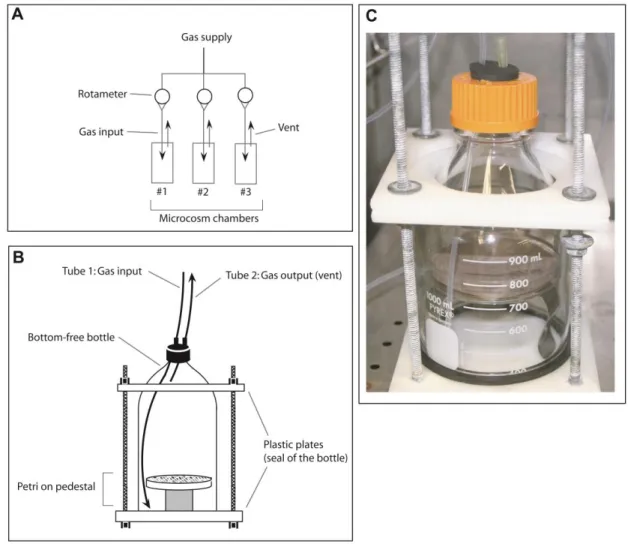 Figure S1. Illustration of the dynamic microcosm chambers used for the transcriptomic  27 