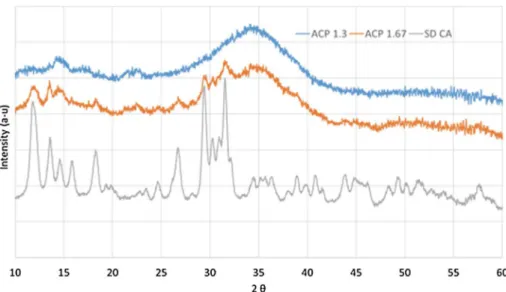 Figure 3 XRD pattern of the ACP 1.3, ACP 1.67 and SD CA powders. Each sharp peaks of SD CA correspond to the Ca(CH 3 COO) 2 H 2 O(JCPDS 19–0199) except the diffraction