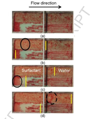 Figure  10  -  Photos  of  contaminated  sandbox  pre-flushed  with  liquid  surfactant  prior  to  foam  treatment,  (a)  initially  and  after  (b)  0.55  PV,  (c)  1.1  PV  and  (d)  2.2  PV