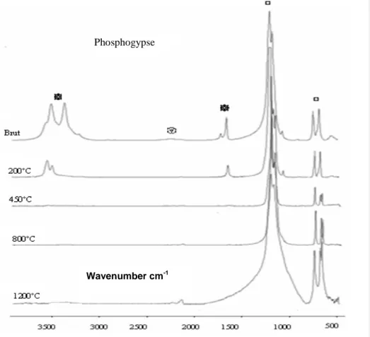 Fig. 4 : Spectres infra-rouge des gypses synthétisés GSHCa , GSNaCa et phosphogypse :   ¤ SO 4