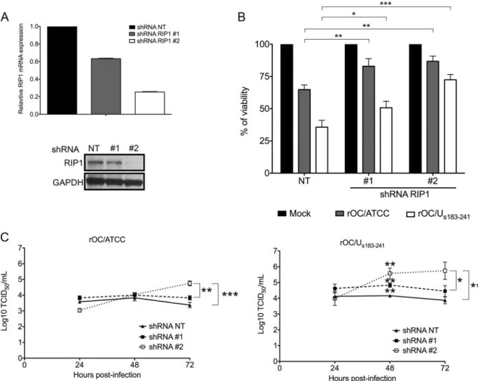 FIG 8 RIP1 is involved in HCoV-OC43-induced LA-N-5 cell death and limits production of infectious virus