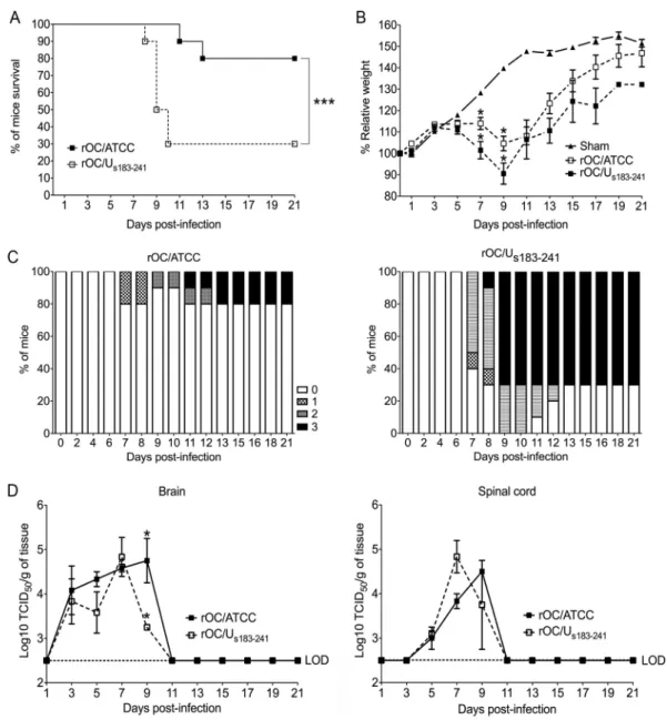 FIG 1 rOC/U s183–241 is more neurovirulent than rOC/ATCC in infected mice. Twenty-two-day-old BALB/c female mice received 10 2.5 TCID