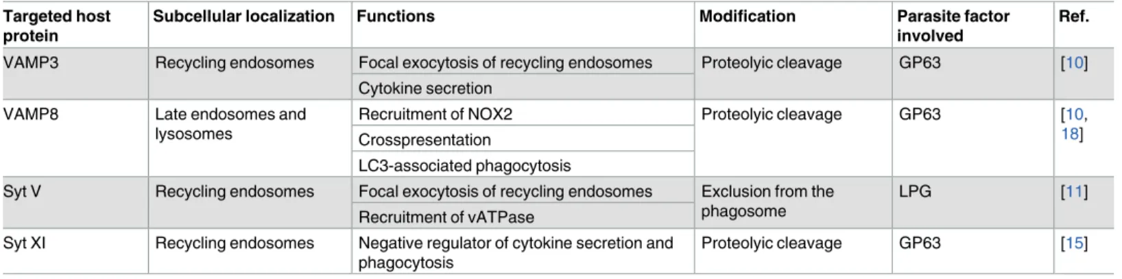 Table 1. Components of the host cell membrane fusion machinery targeted by Leishmania parasites