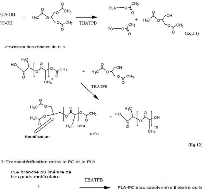 Figure I.17 Réactions possibles entre le PLA et le PC en présence des catalyseurs TA et  