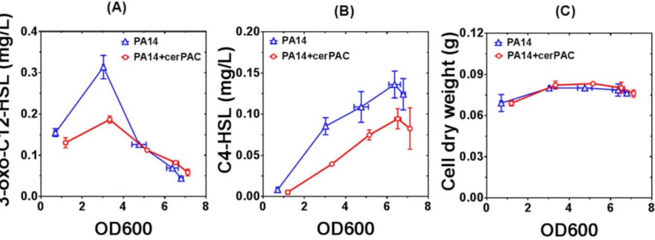 Figure 3.  cerPAC (200 μg mL −1 ) impairs the production of AHL-type QS molecules in P