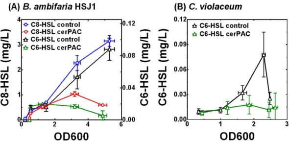 Figure 8.  cerPAC (200 μg mL −1 ) impairs production of AHL-type QS molecules in wild type strains B