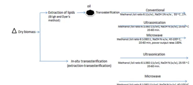 Fig. 1 Schematic representation of di ﬀerent transesteriﬁcation methods.