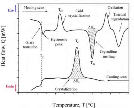 Figure 1.7. The DSC curves of different transitions and reactions of the typical polymer [19] 