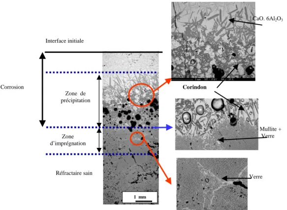 Fig. 6 : Profil de corrosion et structurte des zones de précipitation et d’imprégnation dans une brique  d’andalousite après attaque par un laitier Al 2 O 3 - CaO (A/C = 1 en poids) 