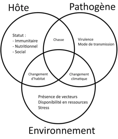 Figure 1 : Facteurs influençant la relation hôte-pathogène (d'après Chapman et al, 2005a) 