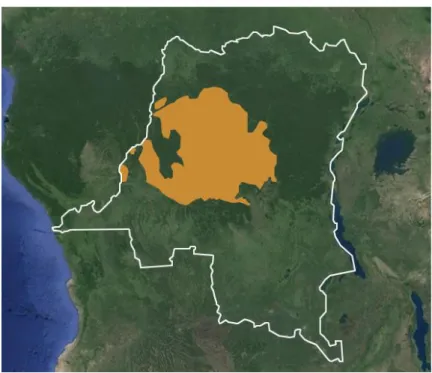 Figure 7 : Aire de répartition géographique des bonobos. Le trait blanc délimite les frontières de la RDC