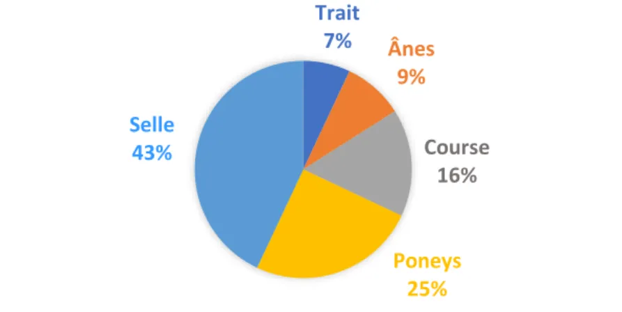 Figure 1: Répartition des types d’équidés au sein du cheptel français en 2016. 