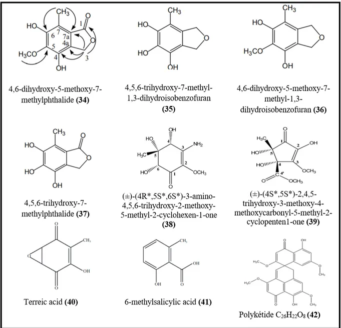Figure  4.  Structure  de  certaines  molécules  antioxydantes  produites  par  les  champignons  endophytes