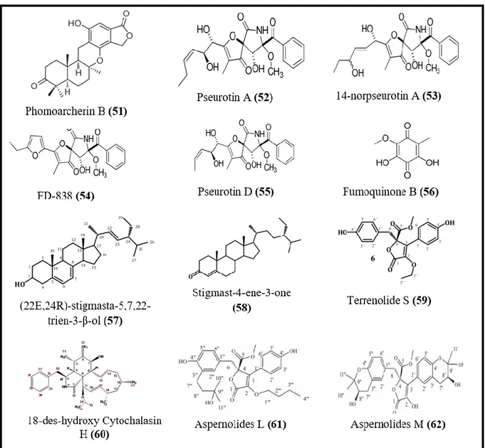 Figure  6.  Structure  de  certaines  molécules  antiparasitaires  produites  par  les  champignons  endophytes