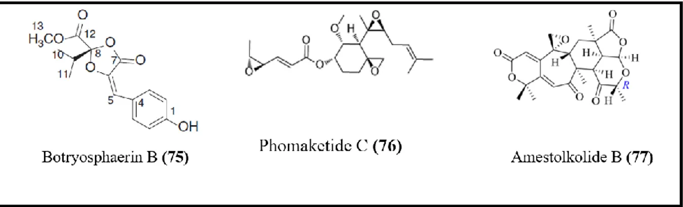 Figure 8. Structure de certaines molécules anti-inflammatoires produites par les champignons  endophytes