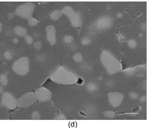 Fig. 13 : SEM photographs of polished and  thermally etched surface of samples fired at 