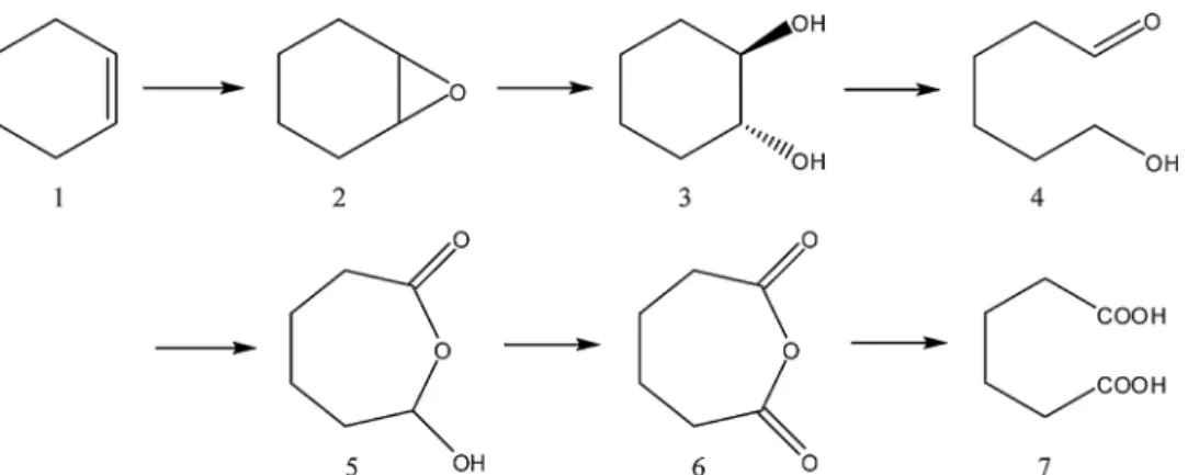Fig. 1. Simplified diagram for adipic acid synthesis in microemulsion with BenzCl C18