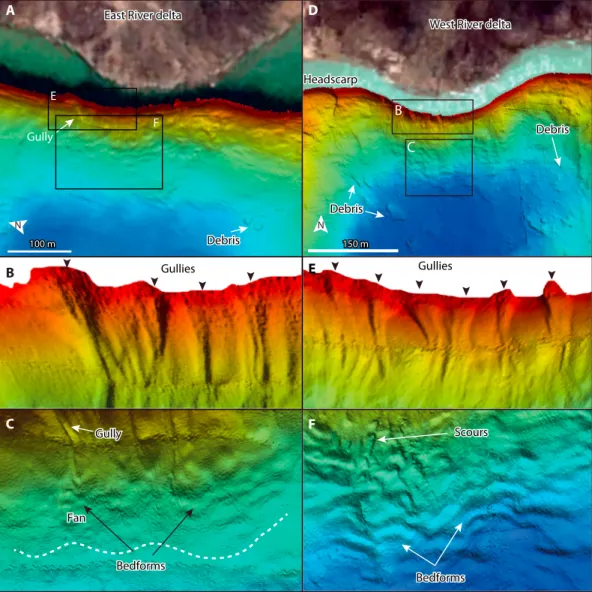 Figure 8. Swath bathymetry images of the (a –c) West and (d–f) East River deltas. Figure 8b denotes the gullies at the front of the East River delta