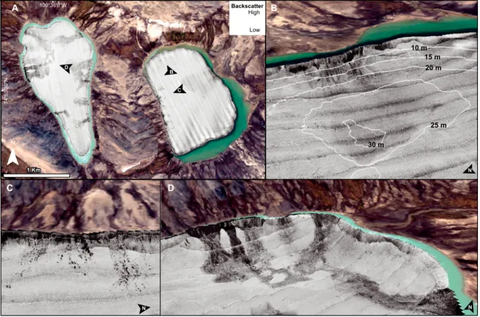 Figure 9. Re ﬂectivity of the lake ﬂoors: (a) backscatter intensity of East and West Lakes