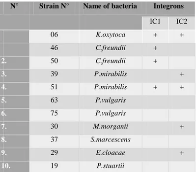 Table 19.  Integrons class I and II in the other Enterobacterial species (n=11)   N°  Strain N°  Name of bacteria  Integrons 