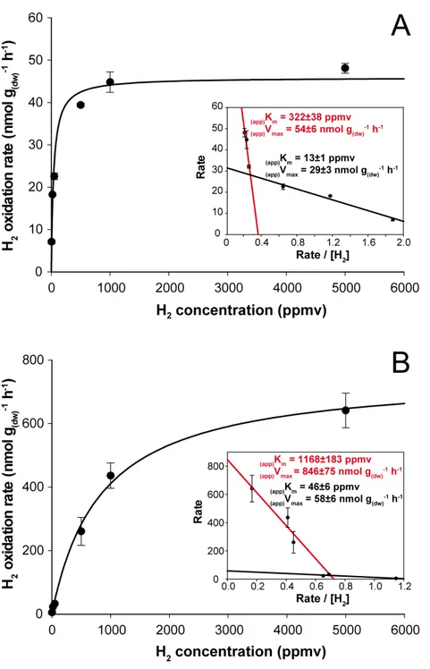 Figure 3 Kinetic parameters governing H 2 oxidation activity in soil microcosms incubated under (A) aH 2 and (B) eH 2 exposure