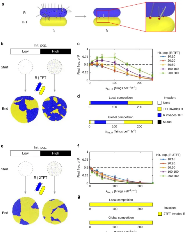 Fig. 2 2-Tits-for-tat (2TFT) outperforms tit-for-tat (TFT) vs. a (R)andom ﬁring strategy