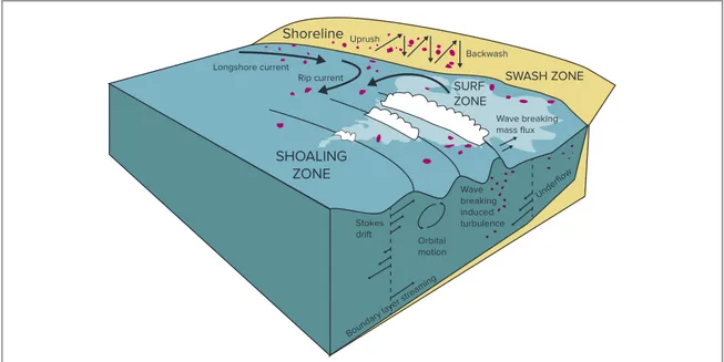 Figure 5. Schematic of the processes that transport plastics in the coastal zone. Adapted from ﬁgure 1.2 of van der Zanden ( 2016 ).