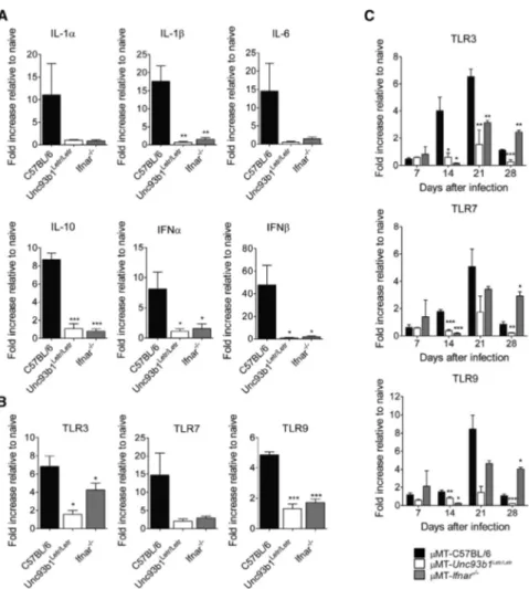 Figure 3. Functional Endosomal TLRs and IFNARs Are Involved in Cytokine and TLR mRNA Expression in B Cells