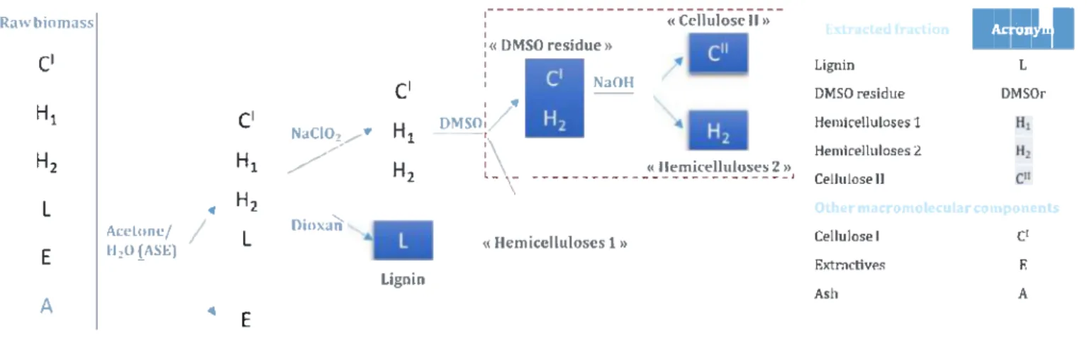 Fig. 2.  Extraction procedure sub-system for the sugar mass balance of the DMSOr fraction ( dashed line )