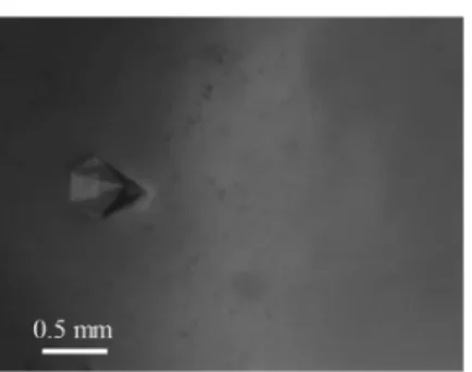 Figure 5 shows the torque (C) and temperature (T) values as a function of time (t) for both hydrate systems for a period ranging from a few dozen minutes before the onset of the hydrate crystallization (detected by an increase in the system temperature) to