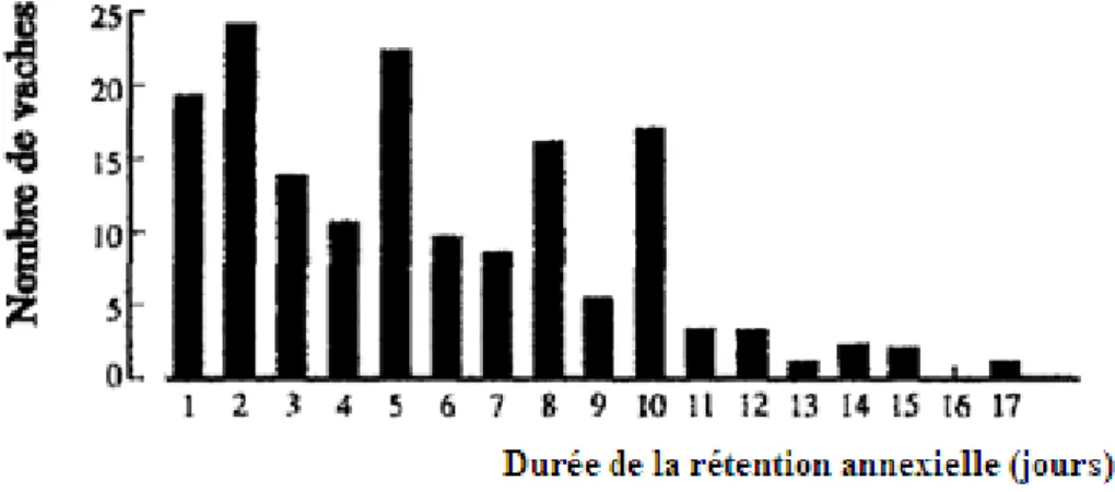 Figure 5 : Répartition du nombre de vaches ayant eu une rétention placentaire  supérieure à 24h  (d’après Vanwerven, et al., 1992) 