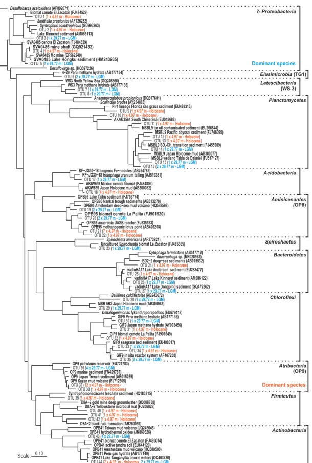 Figure 4. Maximum likelihood phylogenetic tree of bacterial 16S rRNA gene sequences (1400 bp) recovered at 4.97 and 29.77 m depth from Holocene (orange types) and LGM (blue types) sediments