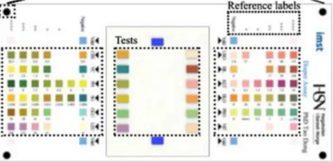 Figure 24 : Utilisation d’un système où le test est placé à côté d’un référentiel  couleur (Karlsen et Dong 2017)
