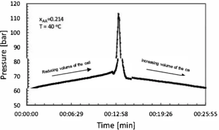Fig. 2.  Typical pressure vs time raw data obtained in the high-pressure phase equi­ librium cell