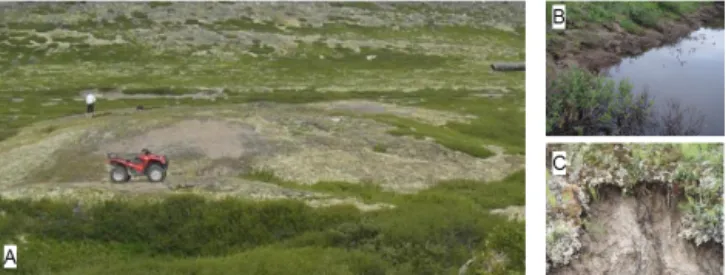 Figure 1. (a) A typical lithalsa within the study area near Umi- Umi-ujaq (northern Quebec) with a diameter of 20 m
