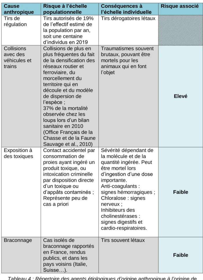 Tableau 4 : Répertoire des agents étiologiques d’origine anthropique à l’origine de  morbidité chez les loups gris en France 