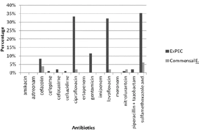 Table 3. Distribution of virulence associated genes between phylogroups within ExPEC strains and faecal commensal strains