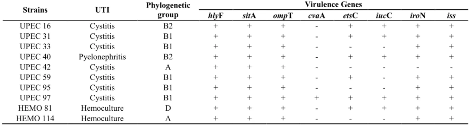 Table 5. Bacterial and molecular characteristics of 10 studied isolates of ExPEC. 