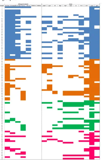 Figure  3.  Study  of  pathogenicity  islands,  phylogenetic  classification,  and  virulence  genes  in  96  ExPEC  strains  from  human