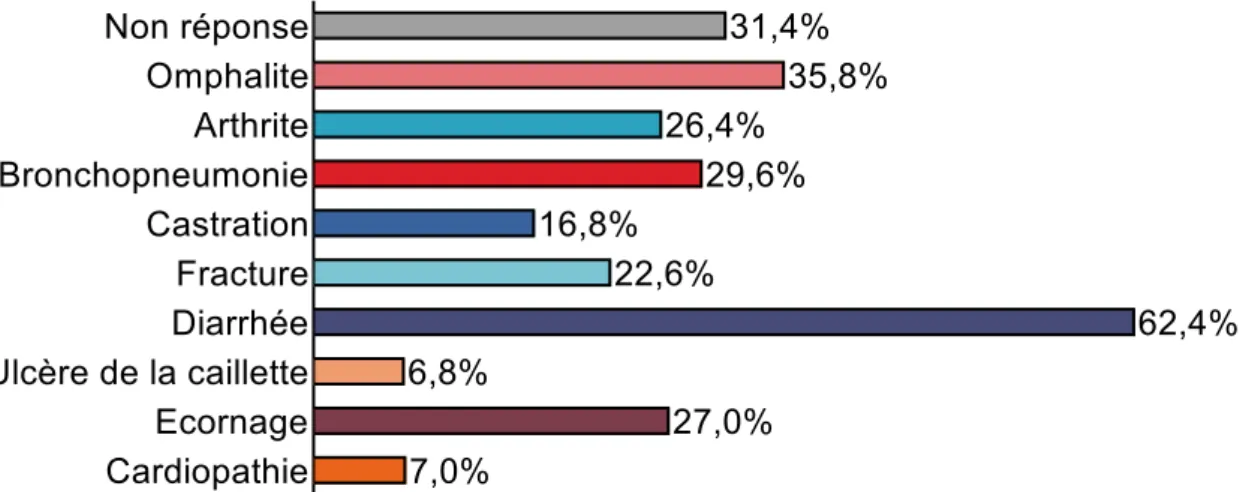 Figure 13 : Répartition des étudiants selon les affections/interventions auxquelles ils ont déjà assisté chez les jeunes bovins -  Sphinx® 