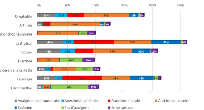 Figure 16 : Répartition des types d'analgésie que les étudiants utiliseraient s'ils étaient chargés du cas, chez les jeunes bovins  (plusieurs modalités possibles) 