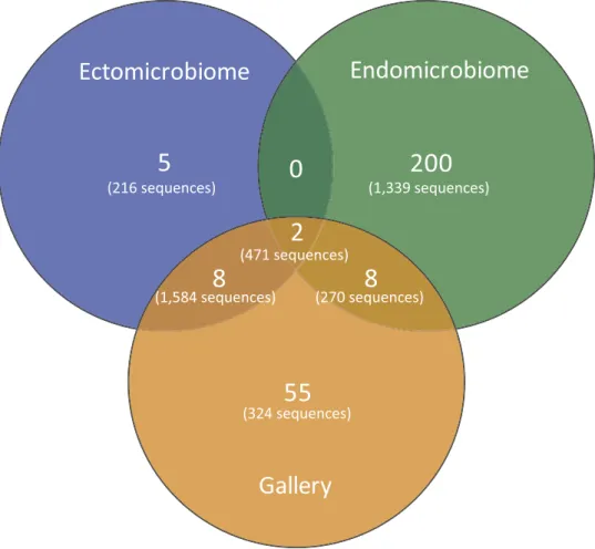Figure 4.  Venn diagram representing the distribution of the OTUs across the different environments