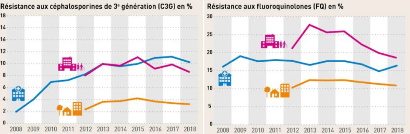 Figure 5 : Evolution des résistances aux antibiotiques critiques par E. coli chez l'homme entre 2008 et 2018, d'après (Répias,  2019) 