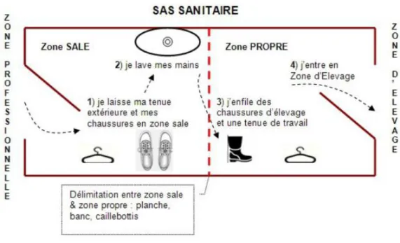 Figure 1 - Schéma d'utilisation d'un SAS à deux zones (source : www.biosecurite.ifip.asso.fr) 