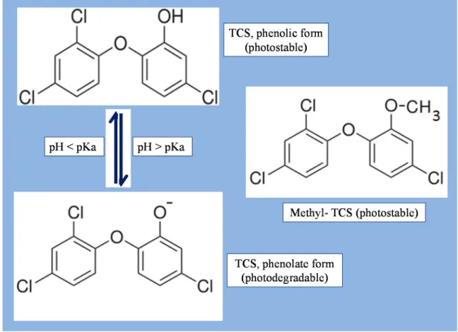 Figure 1. Molecular structures of TCS and its environmental transformation product, methyl-TCS